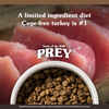 Taste of the Wild PREY Turkey Limited Ingredient Recipe Dry Dog Food - 25 lb Bag