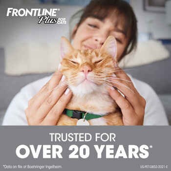 Frontline Plus 6pk Cats Kittens