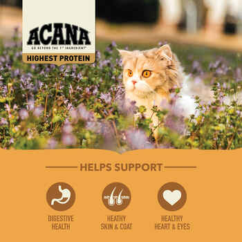 ACANA Meadowlands Highest Protein Dry Cat Food 4 lb Bag