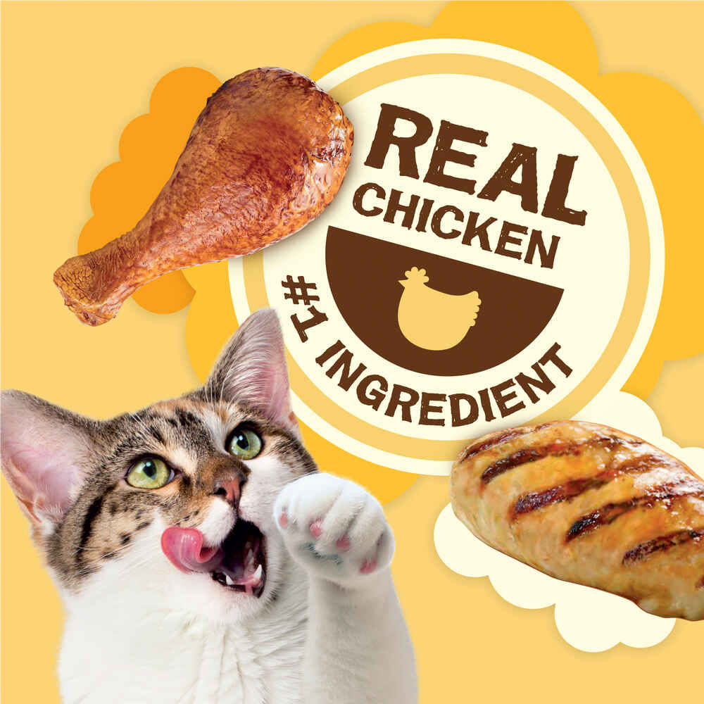 Friskies Party Mix Natural Yums with Real Chicken Cat Treats