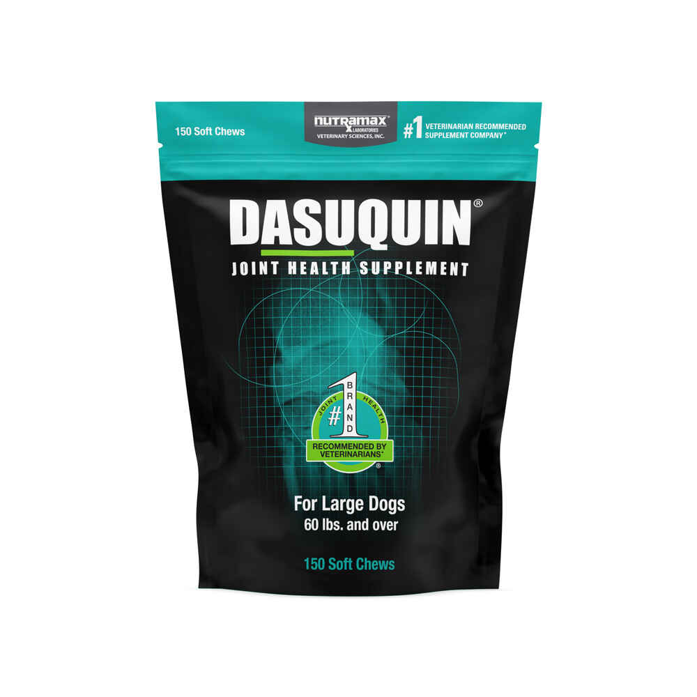 Nutramax Dasuquin® Joint Health Soft Chew Supplement for Large Breed ...
