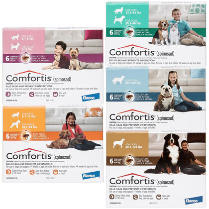 comfortis online for dogs