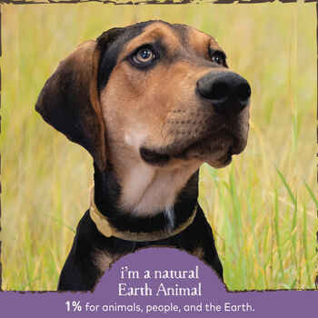Earth Animal Nature’s Protection™ Flea & Tick Herbal Spot-On for Dogs Small Dogs & Puppies