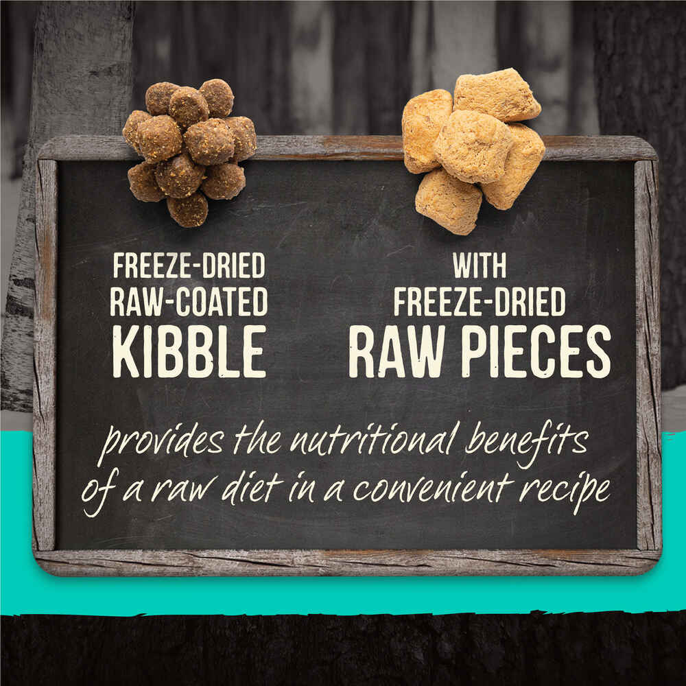 Merrick Backcountry Raw Infused Grain Free Wild Game Bird Dry Dog Food