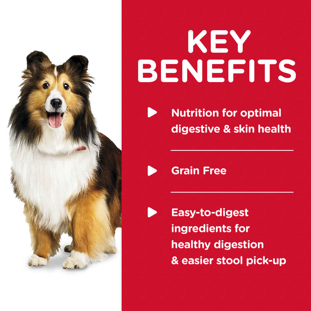 Hill's Science Diet Adult Sensitive Stomach & Skin Chicken & Vegetable Entree Wet Dog Food