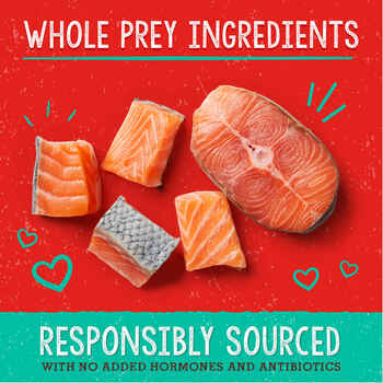 Stella & Chewy's Savory Salmon & Cod Meal Mixers Freeze-Dried Raw Dog Food Topper 3.5 oz Bag