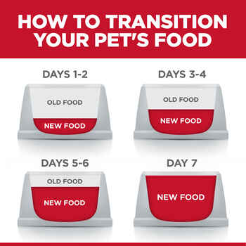 Hill's Science Diet Adult Sensitive Stomach & Skin Grain Free Salmon Recipe Dry Cat Food - 13 lb Bag