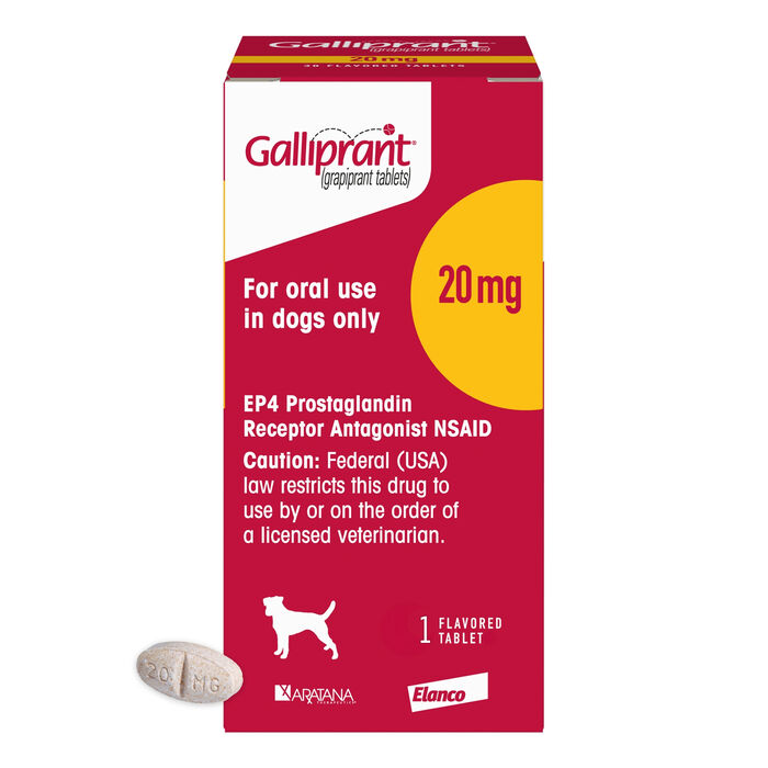 Bundle: Galliprant + Greenies - Joint Health Bundle for Dogs product detail number 1.0