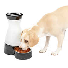 PetSafe Healthy Pet Food Station Gravity Feeder-product-tile