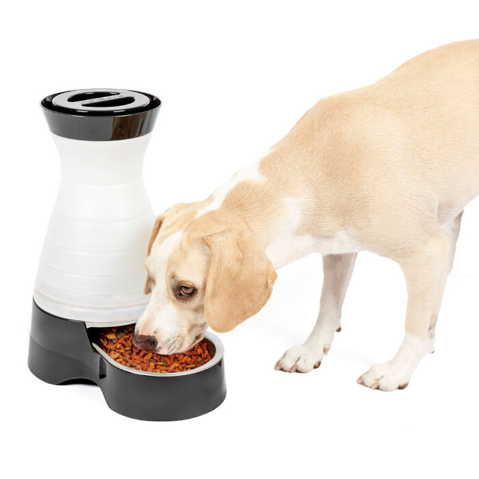 PetSafe Healthy Pet Food Station Gravity Feeder