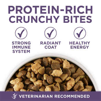 Purina ONE +Plus Vibrant Maturity, High Protein, Adult 7+ Chicken Dry Dog Food 16.5 lb Bag