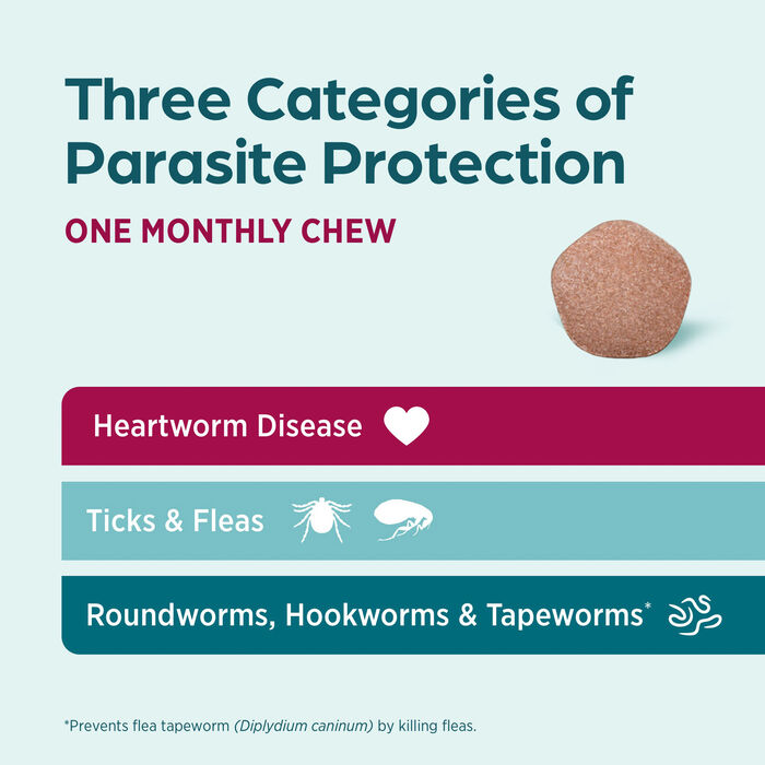 Bundle: Simparica Trio + Alzoo - Total Defense Ultimate Parasite Protection Bundle for Dogs product detail number 1.0