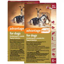 Advantage Multi 12pk Dogs 20-55 lbs-product-tile