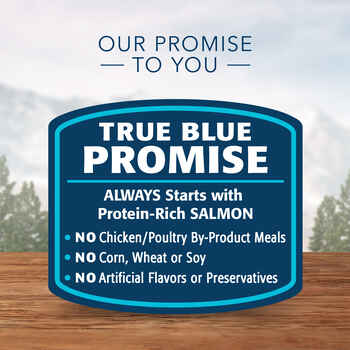 Blue Buffalo BLUE Wilderness Kitten Salmon Recipe Wet Cat Food 3 oz Can - Case of 24