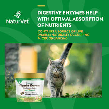 NaturVet Digestive Enzymes Plus Pre & Probiotic Supplement for Cats Soft Chews 60 ct