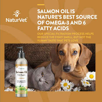 NaturVet Salmon Oil Skin & Coat Plus Omegas Supplement for Dogs and Cats 8.75 fl oz