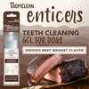 Tropiclean Enticers Teeth Cleaning Gel For dog  Beef Brisket  4oz
