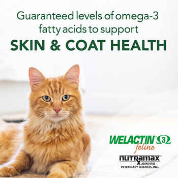 Welactin Omega 3 Feline 4 oz Liquid