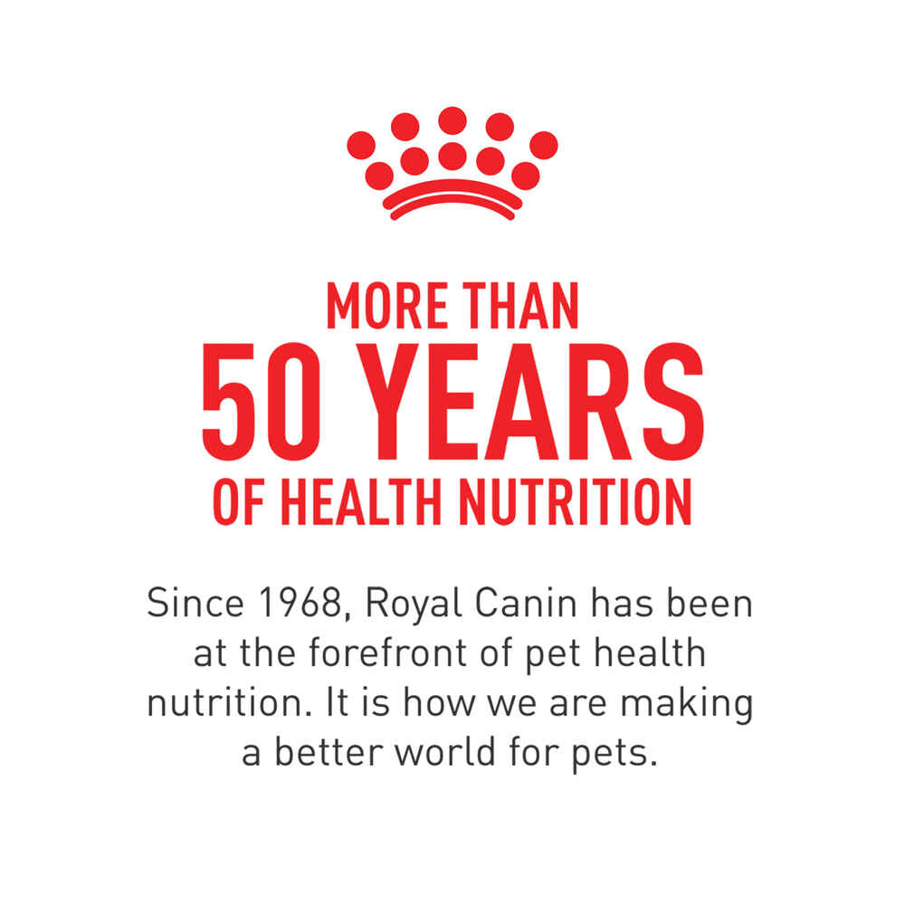 Royal Canin Feline Health Nutrition Kitten Dry Cat Food