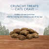 Blue Buffalo BLUE Wilderness Tasty Chicken Crunchy Cat Treats 2 oz Bag