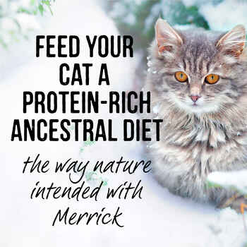 Merrick Backcountry Grain Free Real Beef Cuts Cat Food Pouch 3-oz, case of 24