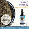 Earth Animal Allergy & Skin Organic Herbal Remedy 2oz