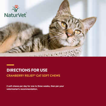 NaturVet Cranberry Relief Plus Echinacea Supplement for Cats Soft Chews, 60 ct