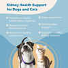 Prana Pets Kidney Health Support 2 oz Bottle