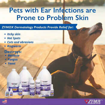 Zymox Advanced Enzymatic Shampoo 12 oz