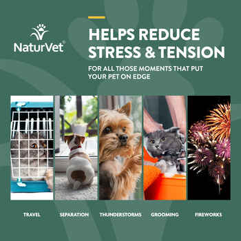 NaturVet Hemp Quiet Moments Hemp Oil Calming Drops for Dogs & Cats 4 oz