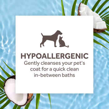 Tropiclean Hypo Allergenic Waterless Shampoo