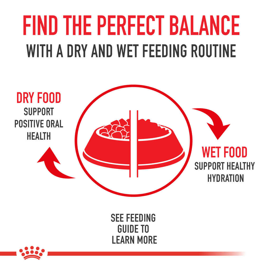 Royal Canin Veterinary Diet Canine Urinary SO Moderate Calorie Thin Slices in Gravy Wet Dog Food