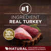 Purina ONE True Instinct Turkey & Venison Dry Dog Food 15 lb Bag