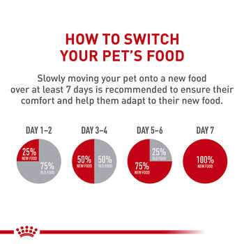 Royal Canin Feline Care Nutrition Digestive Care Adult Dry Cat Food - 6 lb Bag