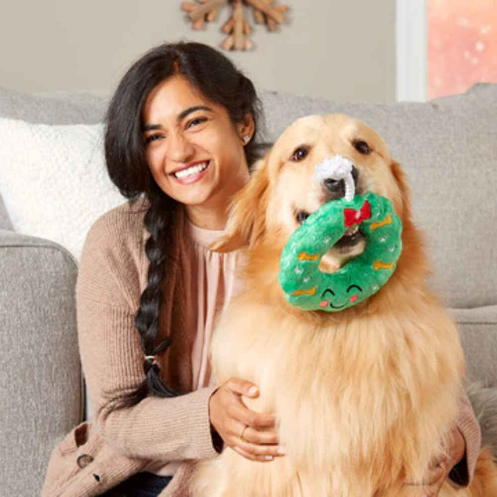 Pearhead Holiday Wreath Dog Toy
