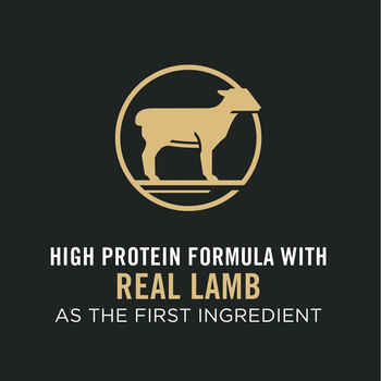 Purina Pro Plan Adult Sensitive Skin & Stomach Lamb & Oat Meal Formula
