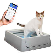 PetSafe ScoopFree Crystal Smart Self-Cleaning Cat Litter Box-product-tile