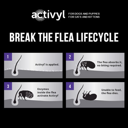 activyl for dogs and puppies