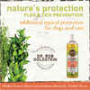 Earth Animal Nature’s Protection™ Flea & Tick Herbal Shampoo 12oz