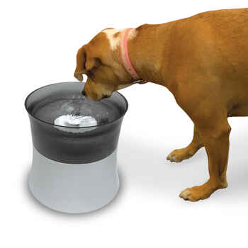 Pioneer Pet Vortex Elevated Drinking Fountain, 128oz product detail number 1.0