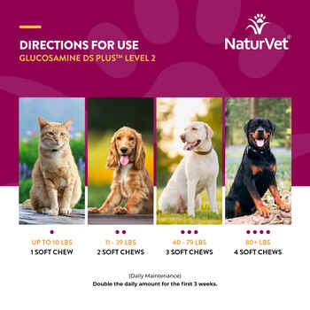 NaturVet Glucosamine DS Plus Level 2 Moderate Joint Care Supplement for Dogs and Cats Soft Chews 70 ct