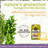 Earth Animal Nature's Protection™ Flea & Tick Herbal Collar for Dogs Small, 20in