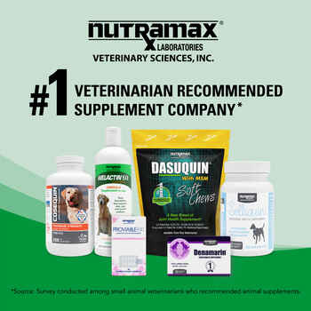 Nutramax Welactin Omega-3 Fish Oil Skin and Coat Health Supplement for Dogs