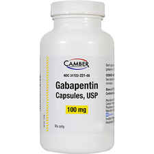 Gabapentin 100 mg (sold per capsule)-product-tile