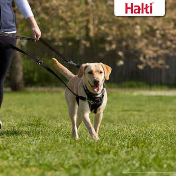 Halti Training Lead Dog Leash - Large - Black