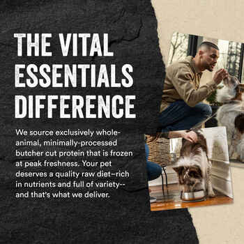 Vital Essentials Freeze Dried Vital Treats Grain Free Bully Sticks Dog Treats 1.4 oz