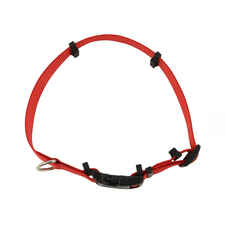 SecureAway™ Flea Collar Protectors Red, Medium - 1" x 14-20"-product-tile