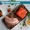 Nulo FreeStyle Freeze-Dried Raw Salmon & Turkey with Strawberries Dog Food