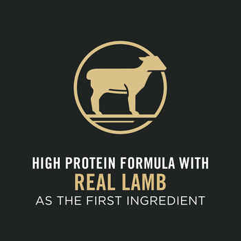 Purina Pro Plan Puppy Sensitive Skin & Stomach Lamb & Oat Meal Formula