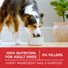 Purina ONE Natural SmartBlend Lamb & Rice Dry Dog Food